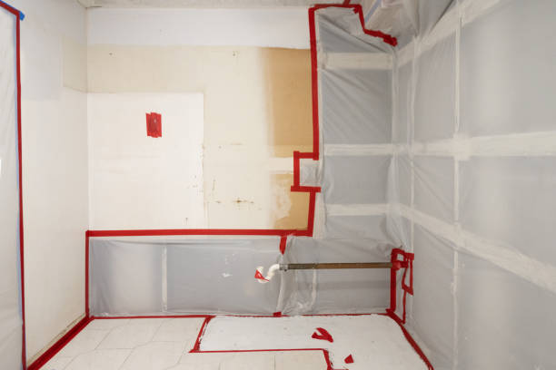 Best Commercial Mold Inspection  in Tybee Island, GA