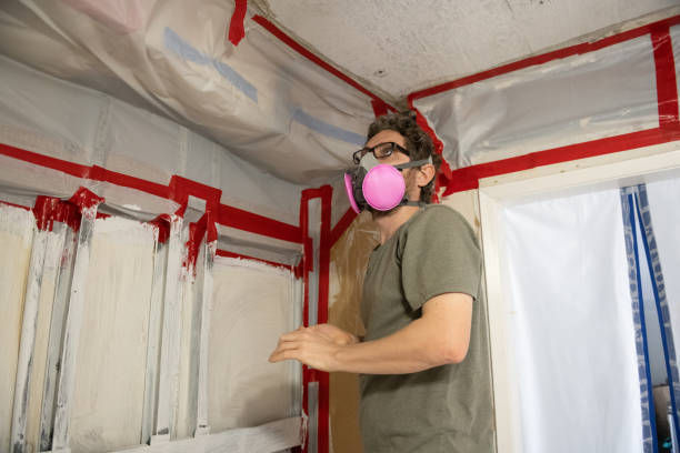 Best Mold Remediation for Healthcare Facilities  in Tybee Island, GA